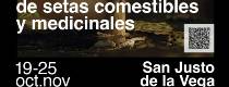 setas
