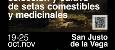 setas