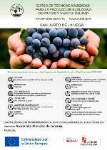 curso frutas